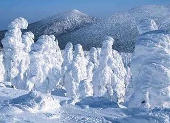 日本景点遭汉字涂鸦，还有哪些类似事件？