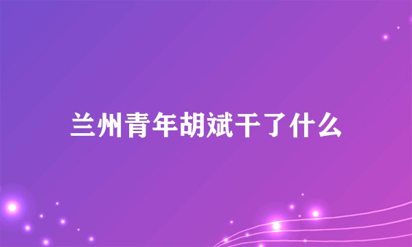 兰州青年胡斌干了什么