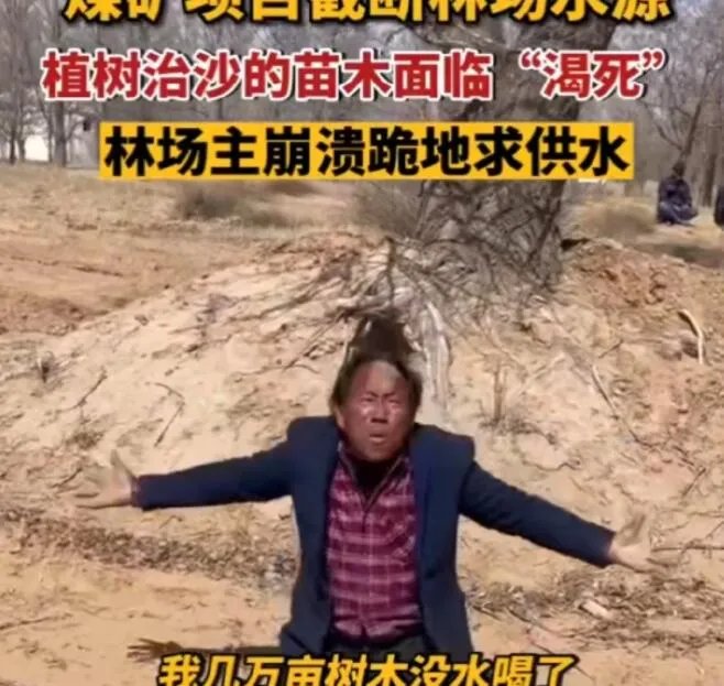 涉事煤矿回应林场主跪地求供水 目前正在就供水问题进行协商
