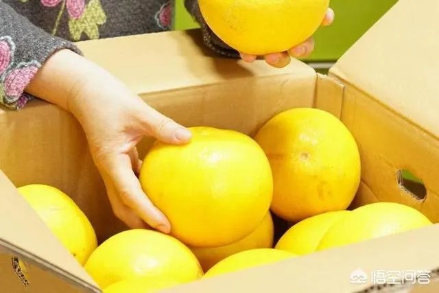 夏天喝什么饮料好?