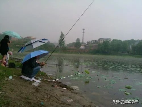 下雨天河边钓鱼，打鱼窝有没有效果，知道的老铁能否分享下经验？