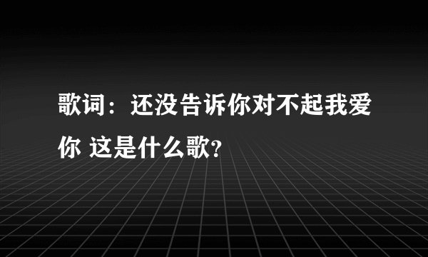 歌词：还没告诉你对不起我爱你 这是什么歌？
