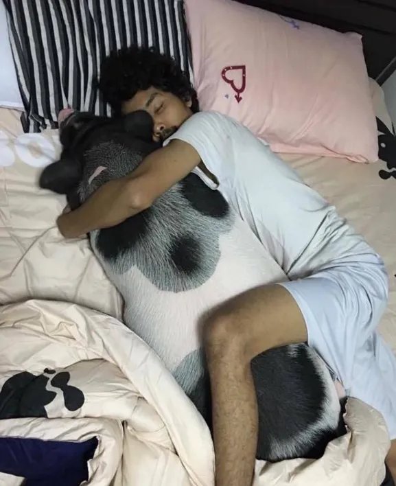 把母猪当女朋友来养是怎么回事？