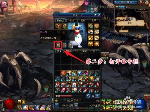 dnf狗年皮肤称号怎么用