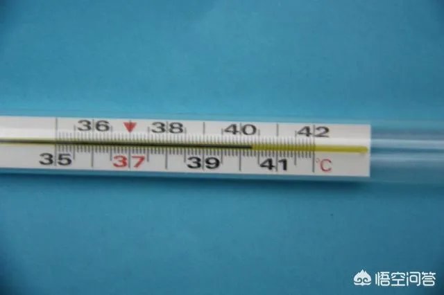 据说高温可杀死非洲猪瘟病毒，有什么依据吗？