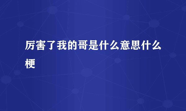厉害了我的哥是什么意思什么梗