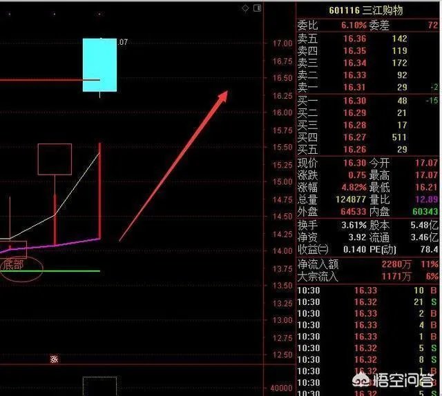 如果股票停牌了，用户该如何操作？
