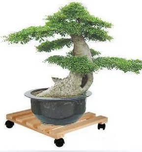 10个户外餐厅设计 花团簇拥的华丽感