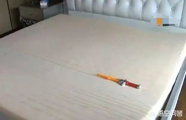 北京女演员将杭州豪宅出租,回杭后发现4万元的床被尿成了“地图”,这事你怎么看?