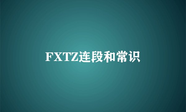 FXTZ连段和常识