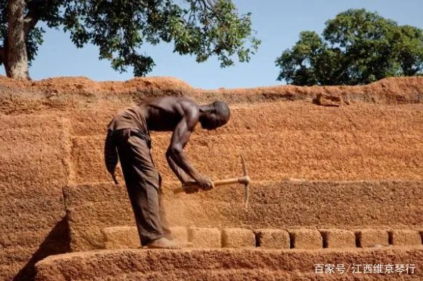 罕见的9胞胎诞生,非洲人的生育能力究竟有多强?