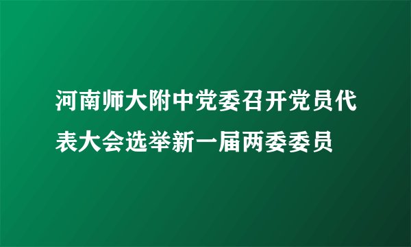 河南师大附中党委召开党员代表大会选举新一届两委委员