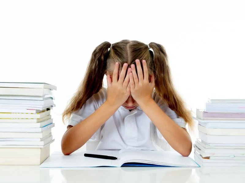 两岁半宝宝的早教内容有哪些