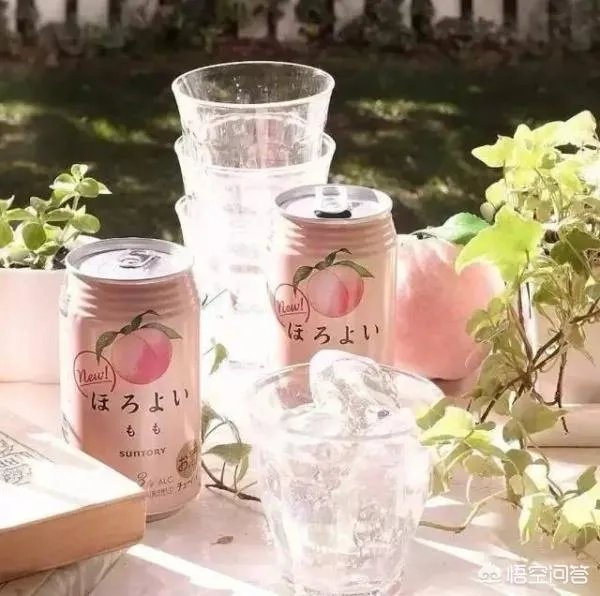 夏天喝什么饮料好?