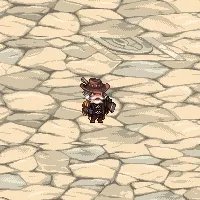 DNF历年的51套都是什么？