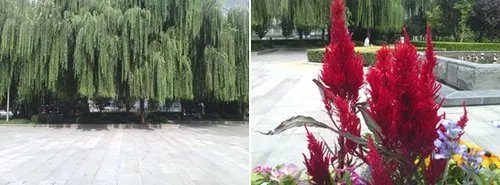 波导F800触屏手机评测—时尚功能