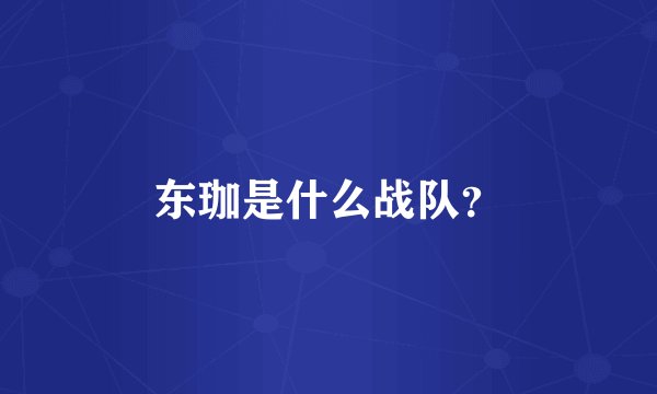 东珈是什么战队？