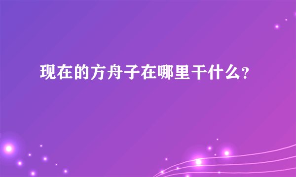 现在的方舟子在哪里干什么？