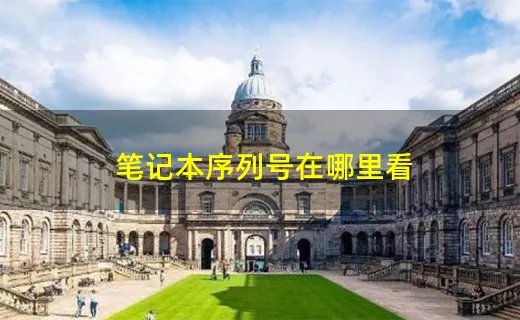 笔记本序列号在哪里看