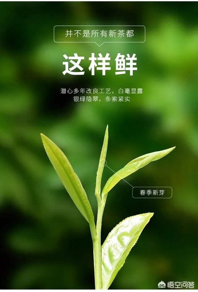 夏天喝什么饮料好?