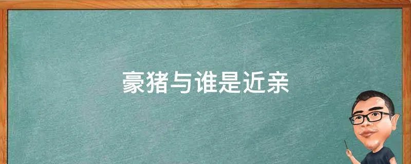 豪猪与谁是近亲