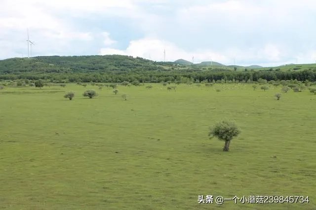 暑期旅行大家都去哪里?适合孩子的地方?