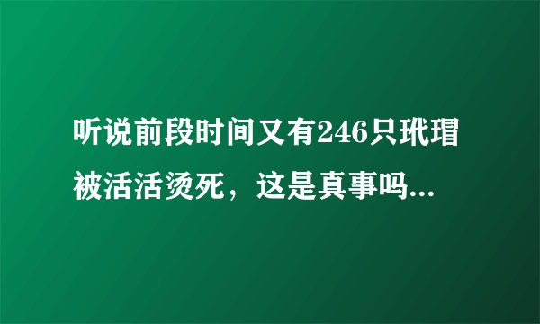 听说前段时间又有246只玳瑁被活活烫死，这是真事吗？到底是为了什么？