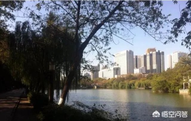 合肥为什么老是堵车？