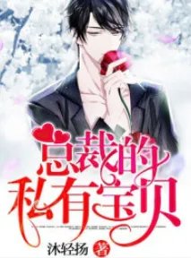 小说总裁的私有宝贝TⅹT下载