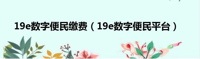 19e数字便民缴费（19e数字便民平台）