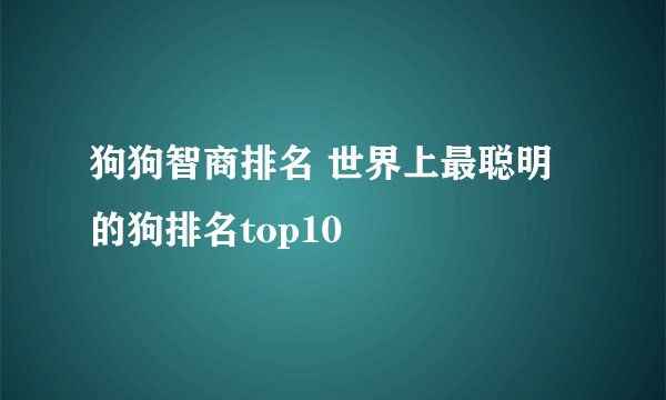 狗狗智商排名 世界上最聪明的狗排名top10