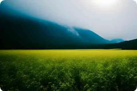 天仙mm 是个什么人物啊