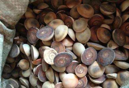 太极石干什么用的