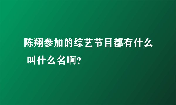 陈翔参加的综艺节目都有什么 叫什么名啊？