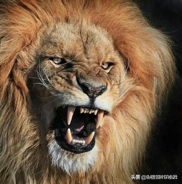 美国那么发达，为什么还是控制不好新冠病毒传播？