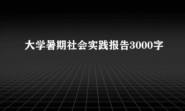 大学暑期社会实践报告3000字