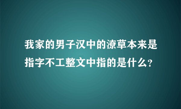 我家的男子汉中的潦草本来是指字不工整文中指的是什么？
