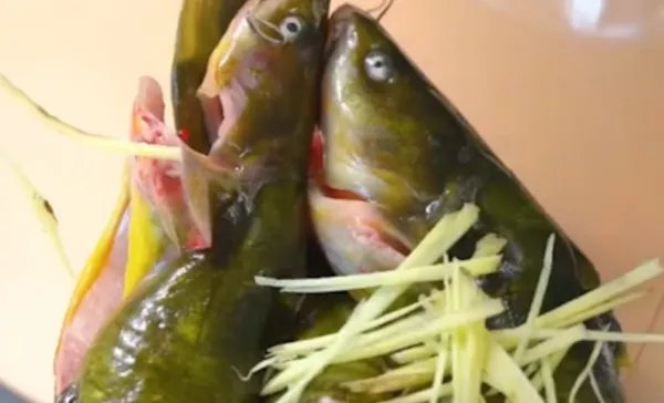 清蒸黄嘎鱼怎么做清蒸黄嘎鱼家常做法清蒸黄嘎鱼的做法