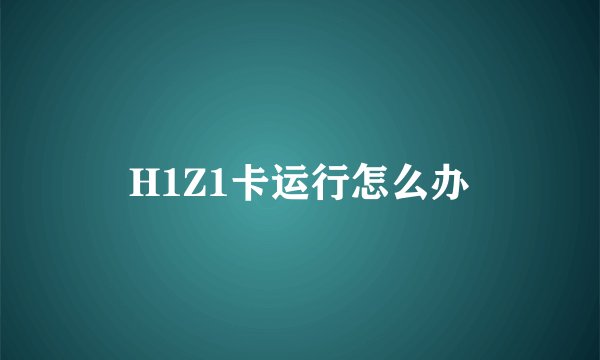 H1Z1卡运行怎么办