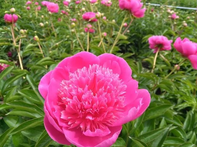 如何评价万达把万达广场建在了4线城市开封？