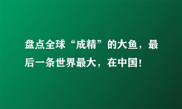 盘点全球“成精”的大鱼，最后一条世界最大，在中国！