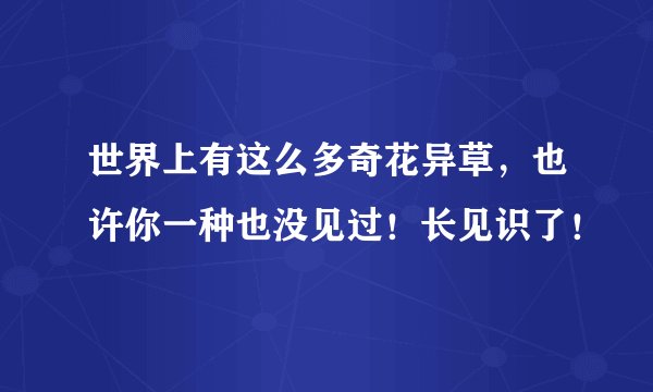世界上有这么多奇花异草，也许你一种也没见过！长见识了！