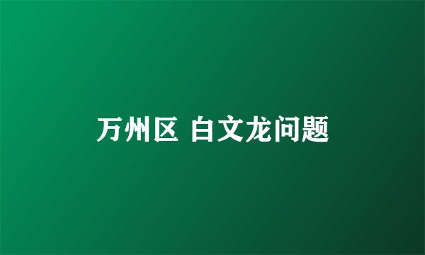 万州区 白文龙问题