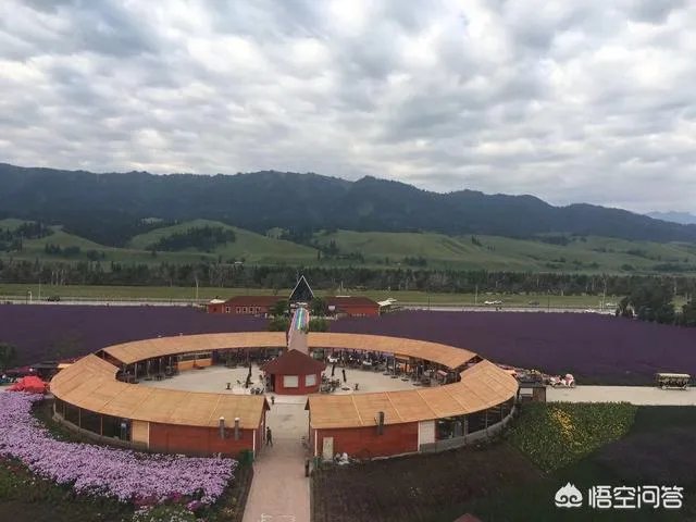 你印象中的大西北还是那个骑骆驼上学的景象吗,现在是什么样子的?