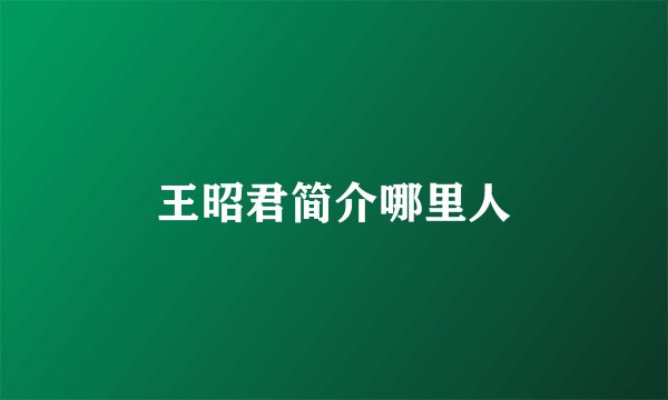 王昭君简介哪里人
