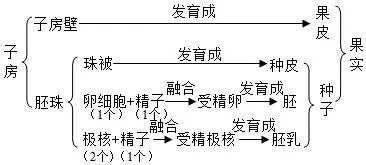 桃花是中国传统的园林花木，其树态优美，枝干扶疏，花朵丰腴，色彩艳丽，是早春重要观花树种之一。在研究“花的结构”活动中，桃花是常用的材料。下面是一朵桃花的结构示意图，请据图完成下列问题。