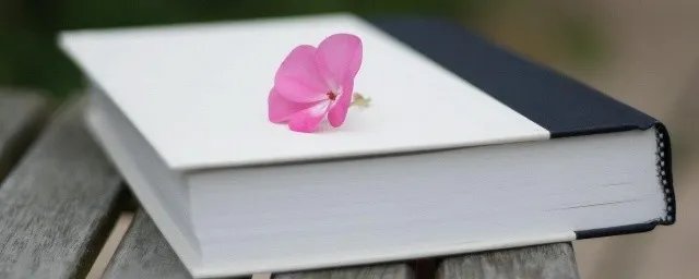 仪表堂堂的意思是什么