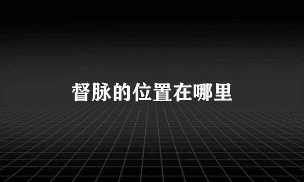 督脉的位置在哪里