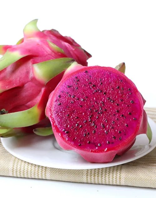 火龙果是仙人掌的果实吗 火龙果与仙人掌有哪些差异