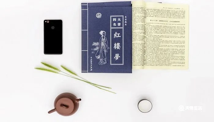 红楼梦平儿人物分析